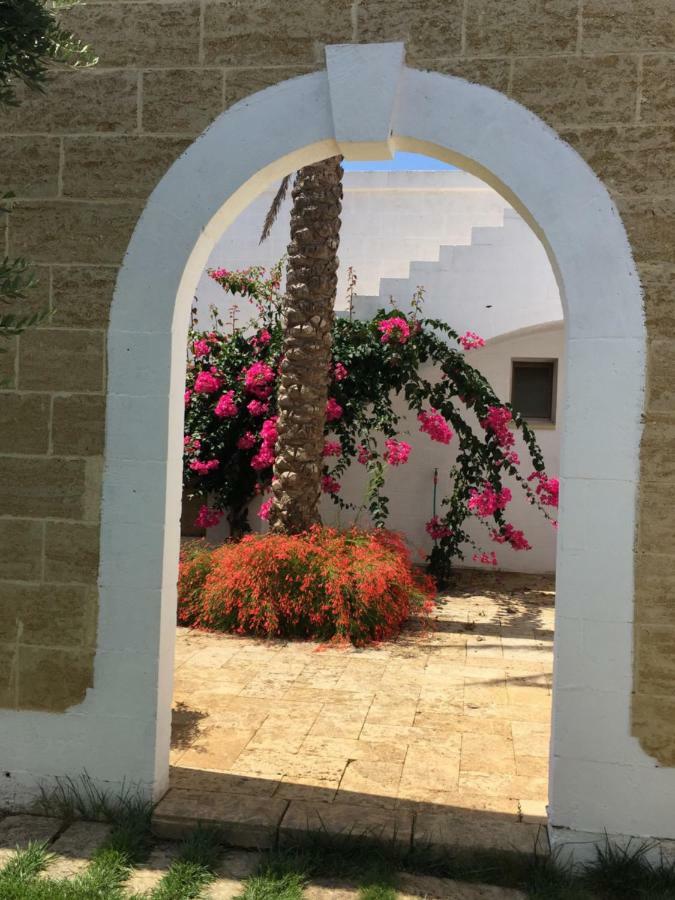 托雷瓦多Casa Vacanze La Corte公寓式酒店 外观 照片